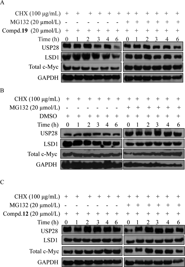 Figure 5