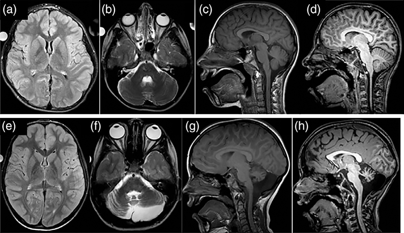 FIGURE 2