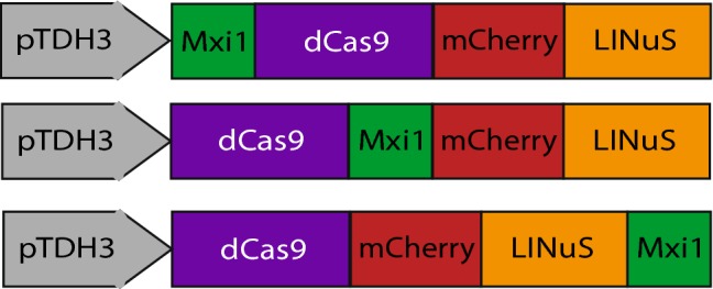 Figure 4