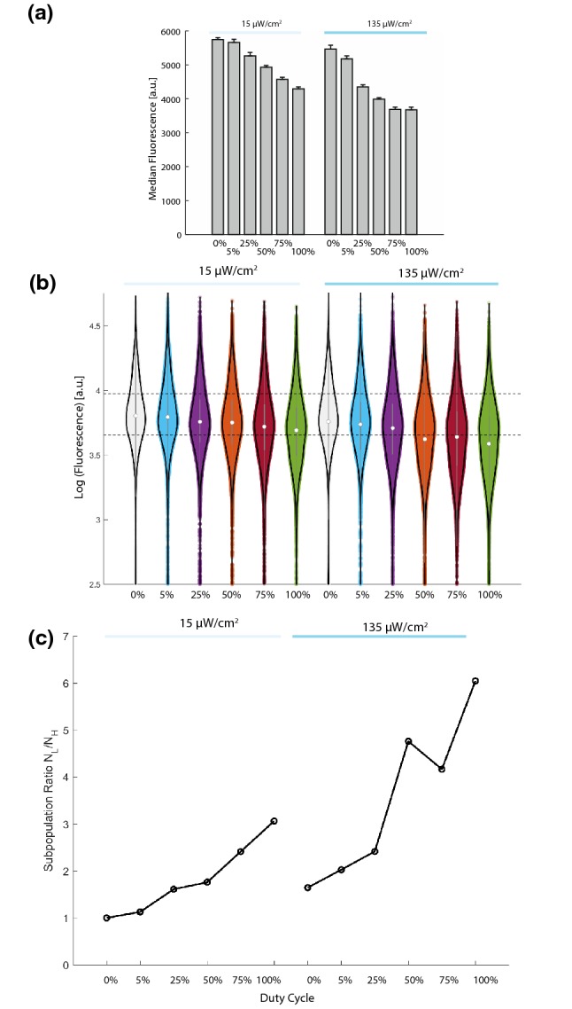 Figure 7