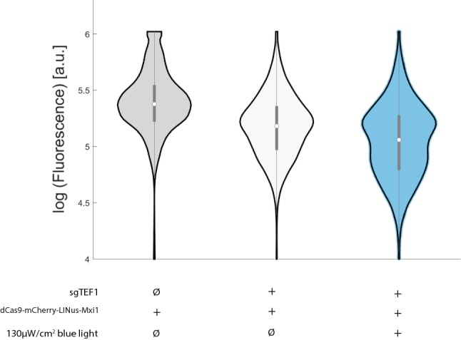 Figure 6