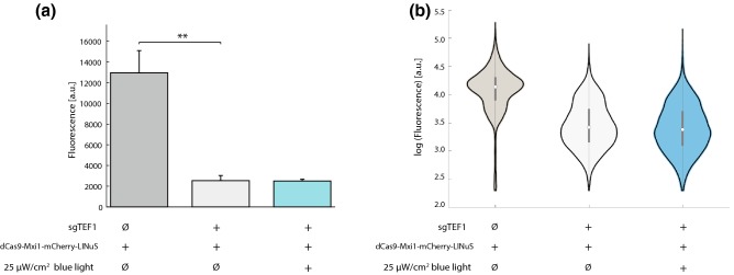 Figure 5