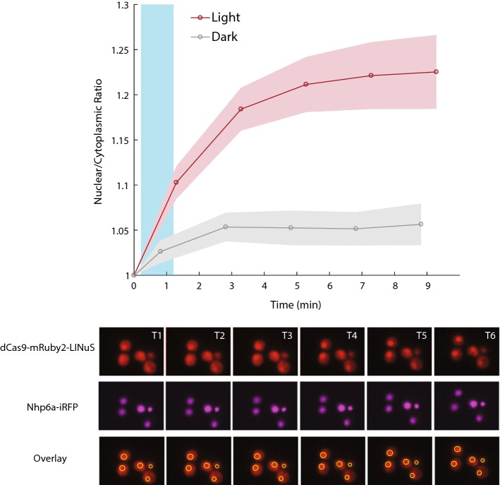 Figure 3