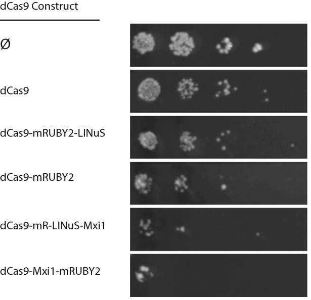 Figure 11