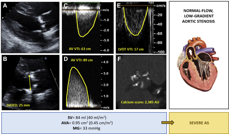 Figure 4