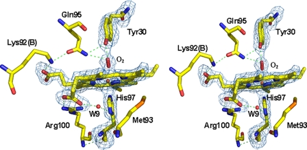 FIGURE 3.