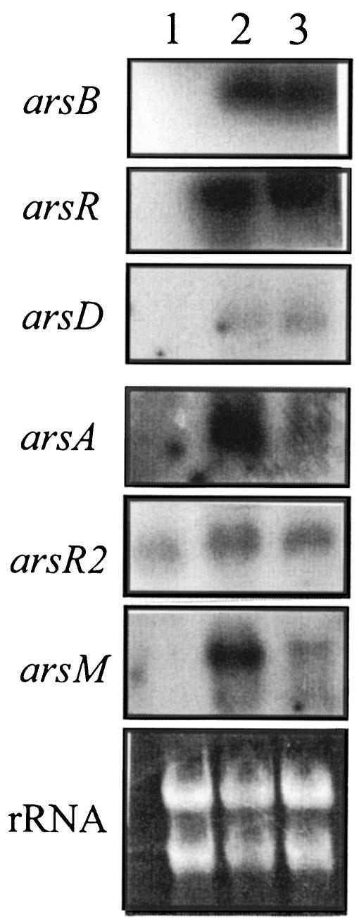 FIG. 5.