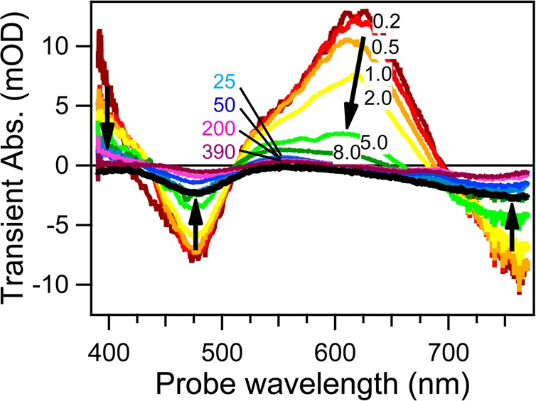 Figure 9