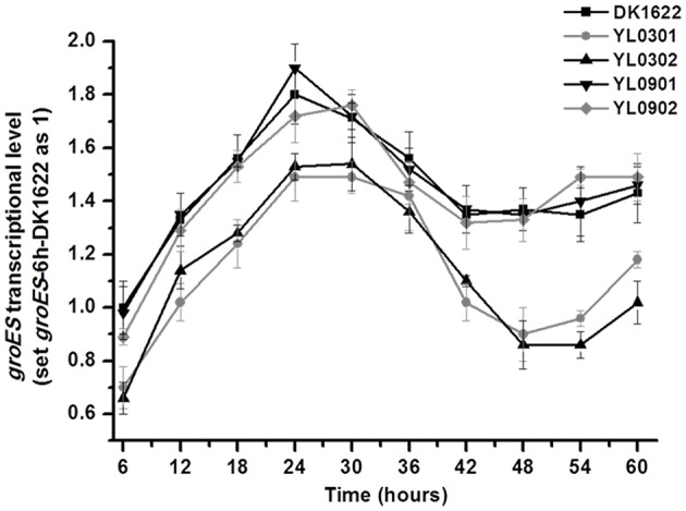 Figure 5