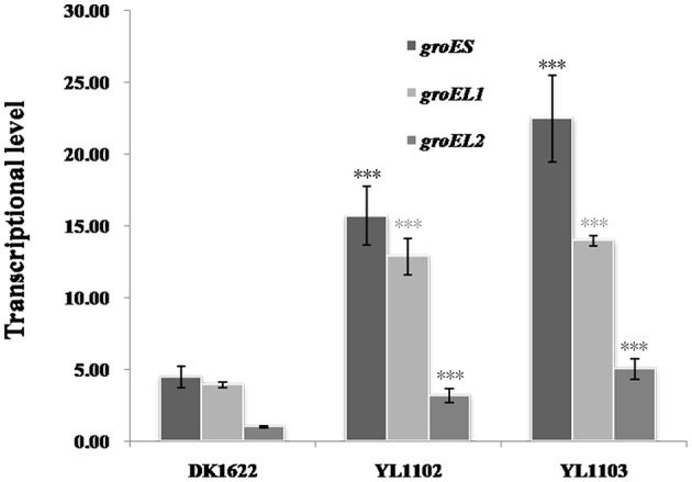 Figure 6