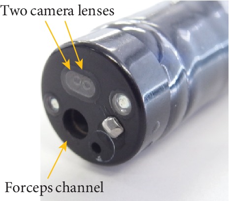 Figure 2