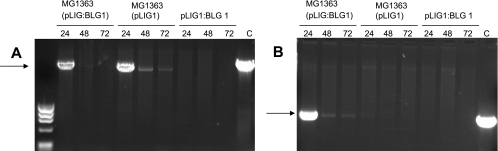 FIG. 4.