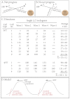 Fig. 8.