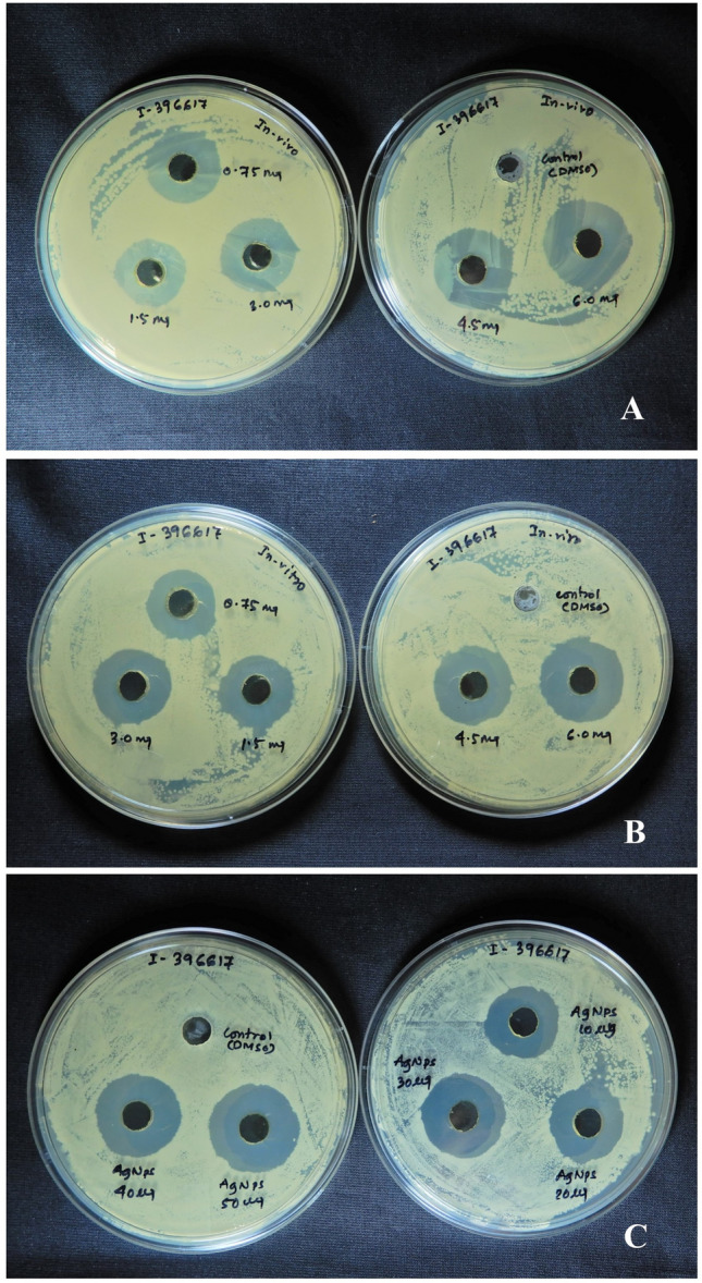 Fig. 7