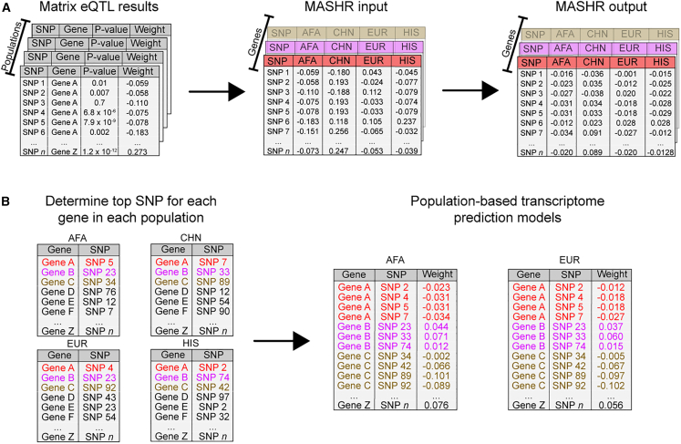 Figure 2