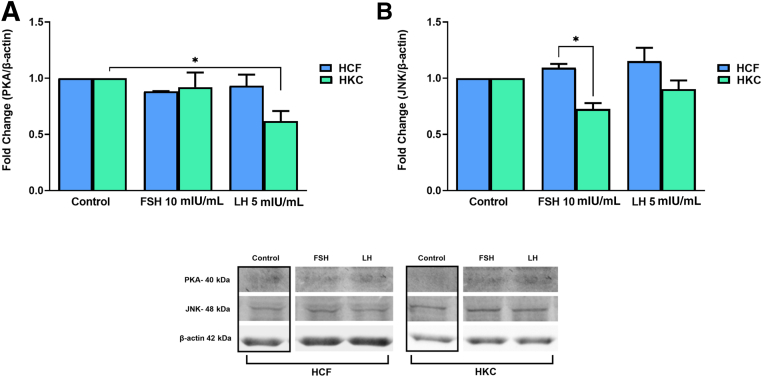 Figure 10