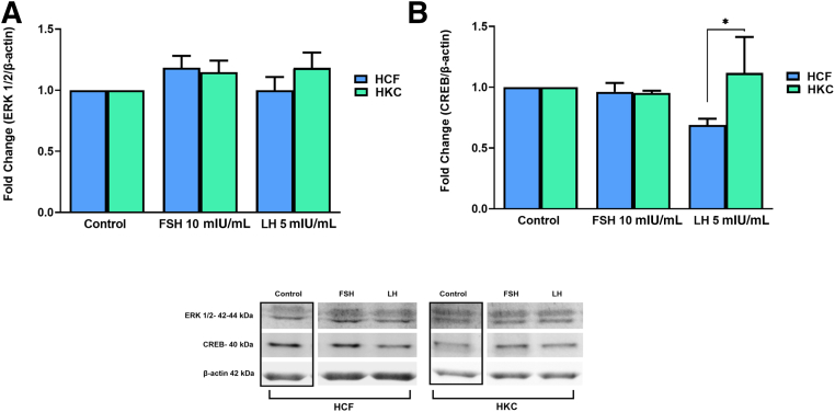 Figure 11