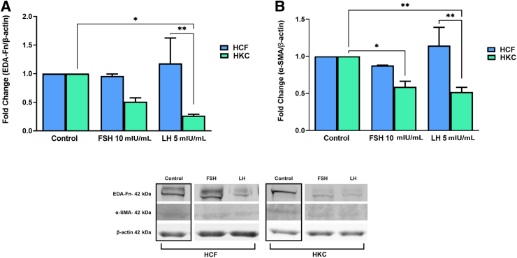 Figure 6