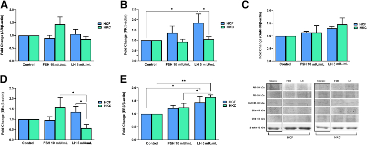 Figure 5