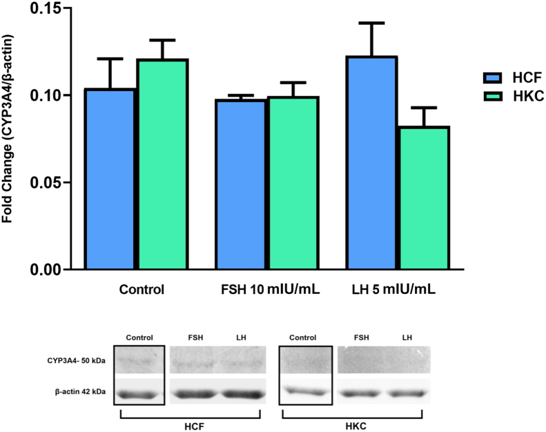 Figure 12