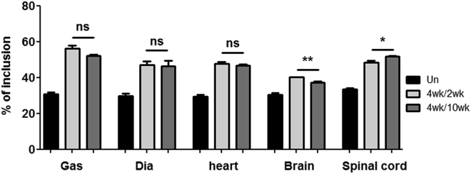 Figure 4