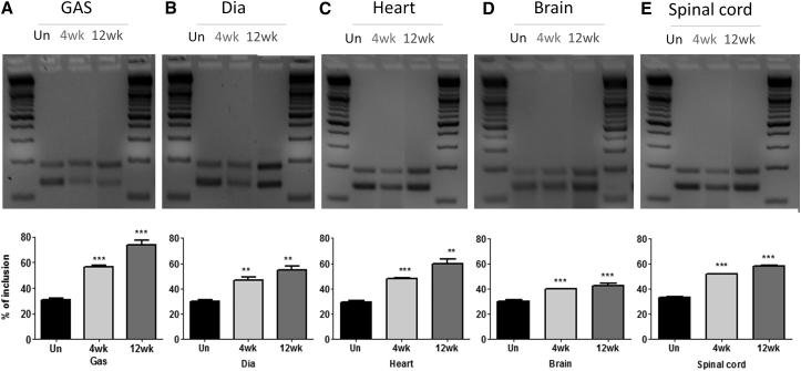 Figure 2