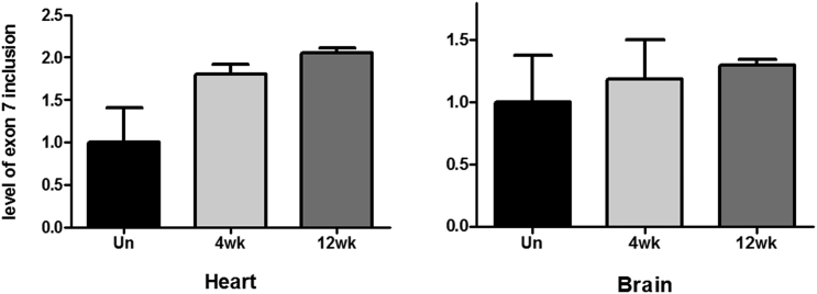 Figure 3