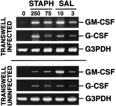 FIG. 8