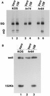 FIG. 3