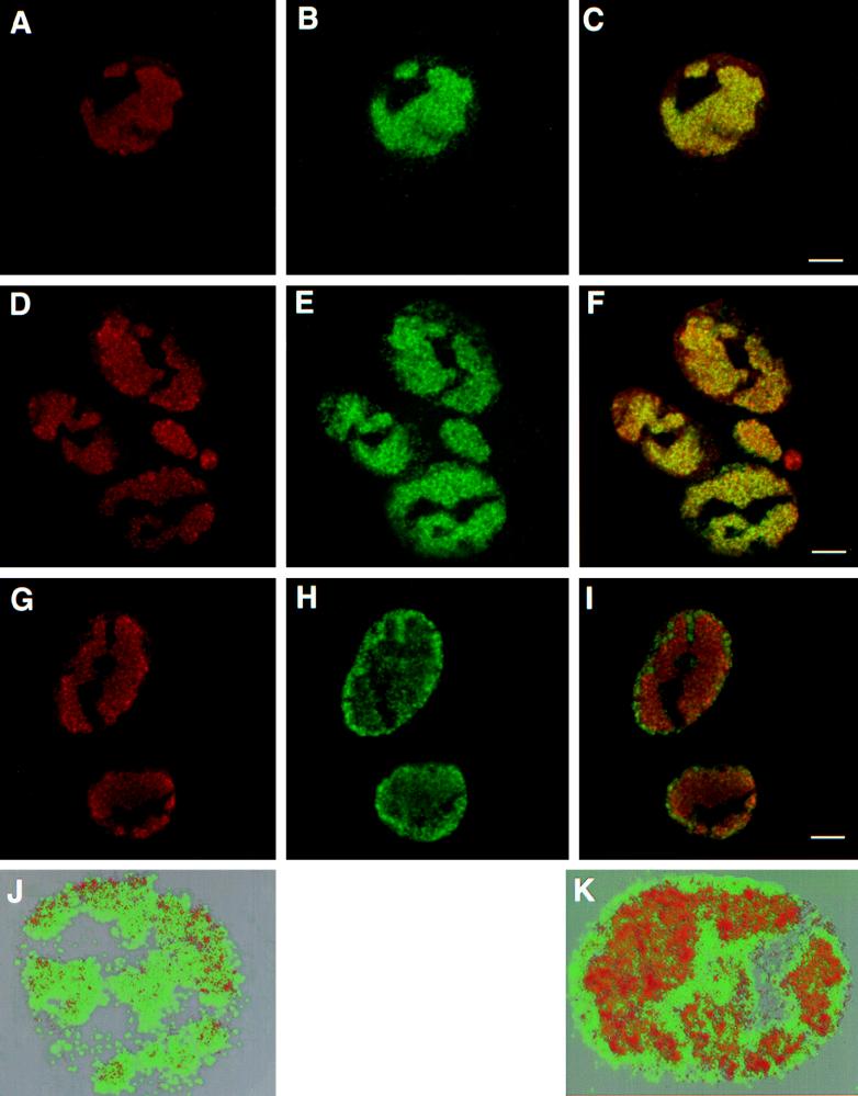 FIG. 8