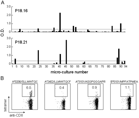 Figure 6