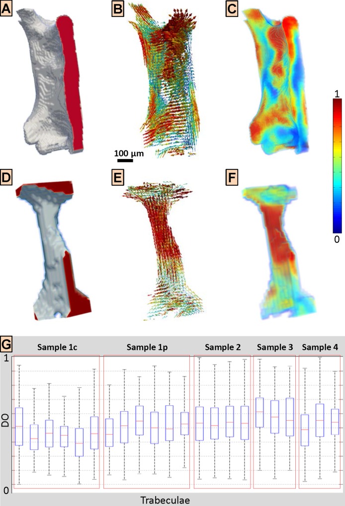 Fig 6