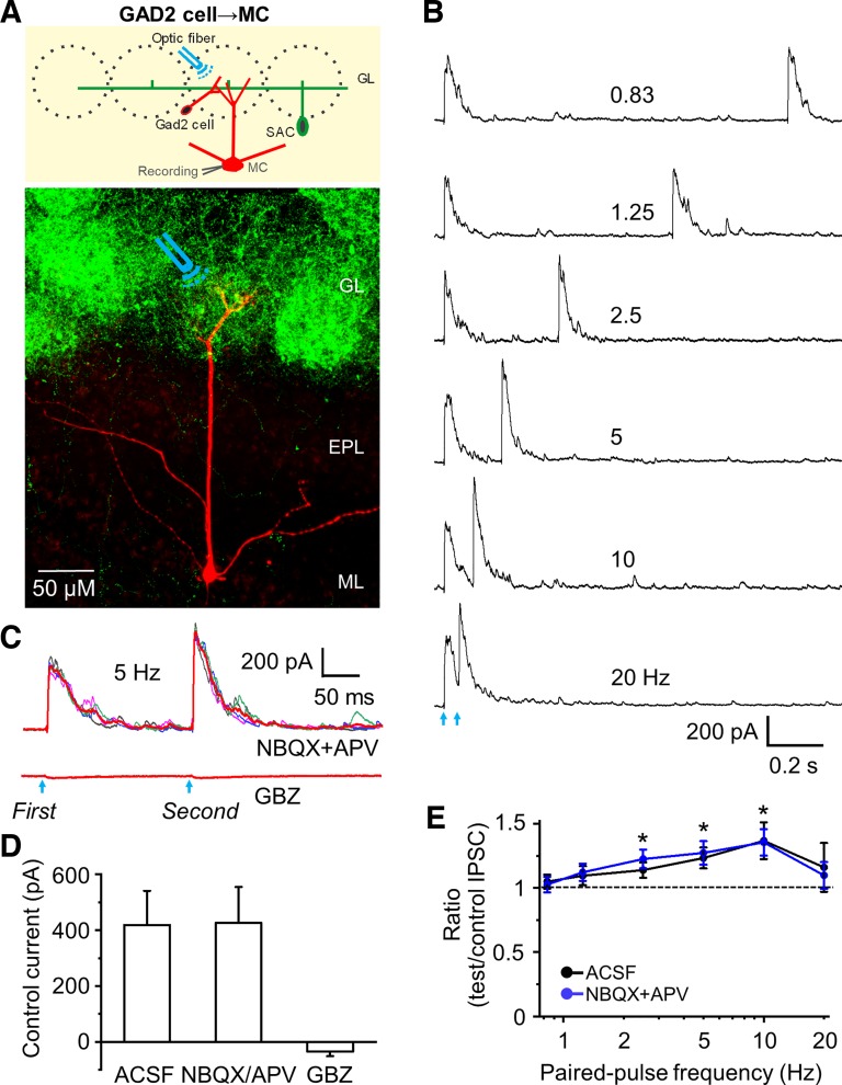 Fig. 4.