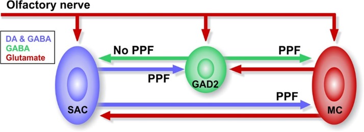 Fig. 6.