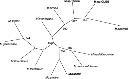 FIG. 5.