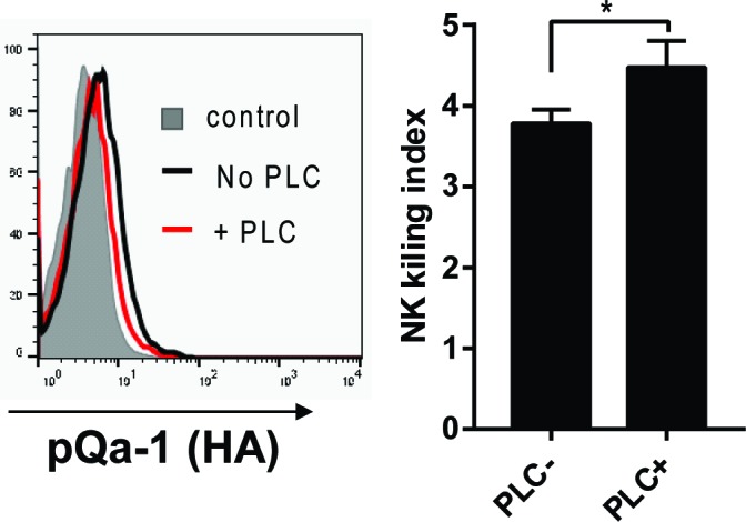 Figure 7—figure supplement 2.