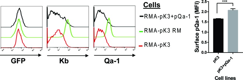 Figure 7—figure supplement 1.