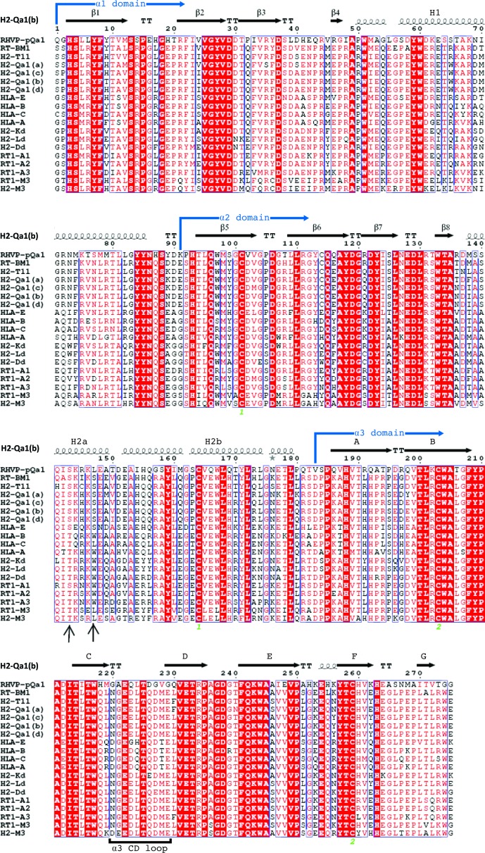 Figure 1—figure supplement 2.