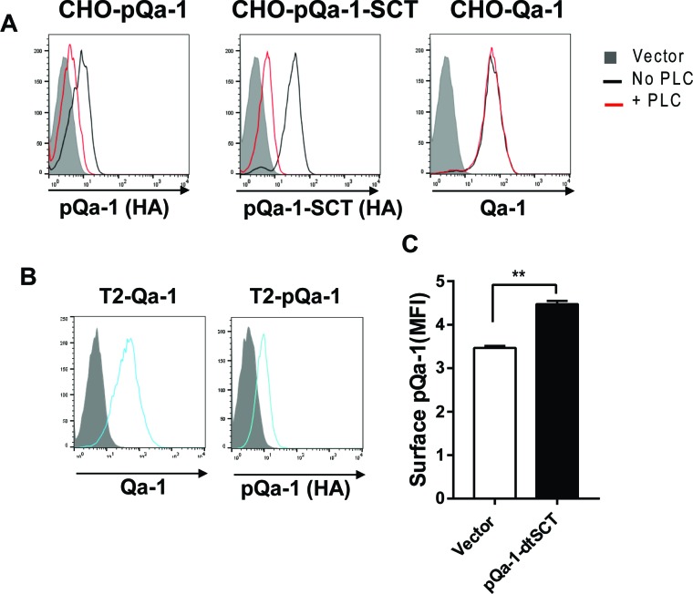 Figure 6—figure supplement 1.