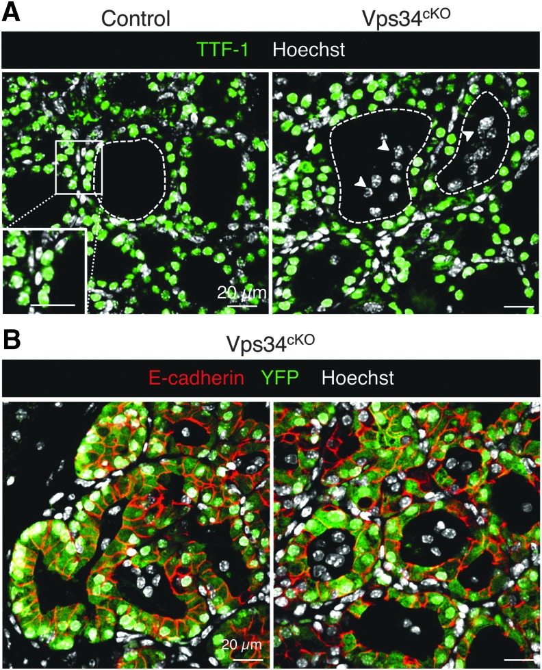 FIG. 9.