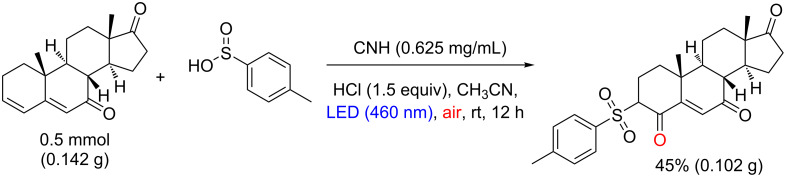 Scheme 20