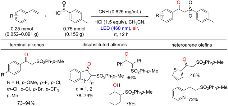 Scheme 18