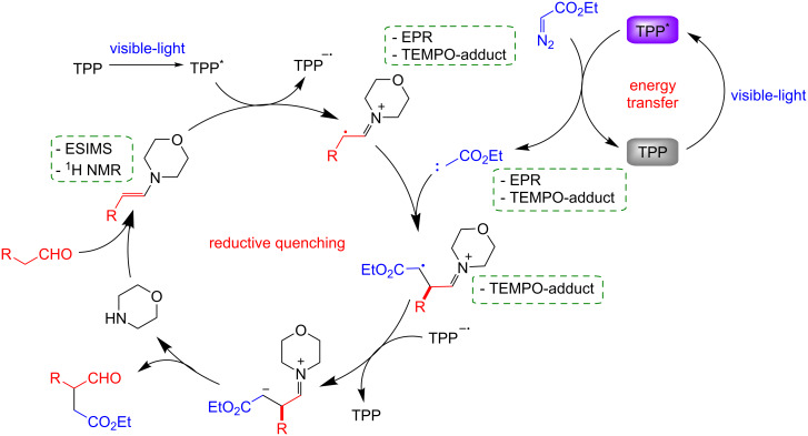 Scheme 2