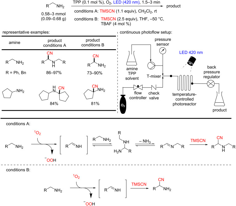 Scheme 56