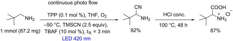 Scheme 57