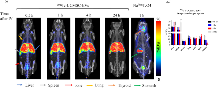 Fig. 4