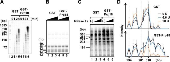 FIG 6