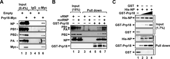 FIG 4