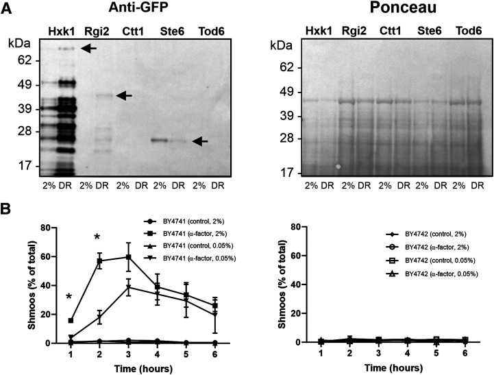 Figure 3.