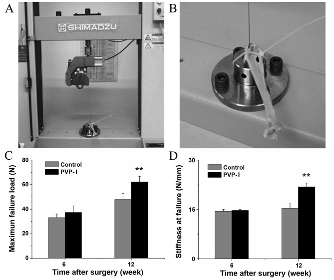 Figure 6.